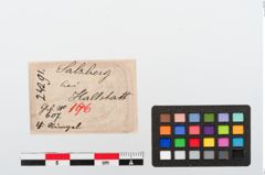 Etiketten zu Bronzering (NHMW-PRAE-024291)